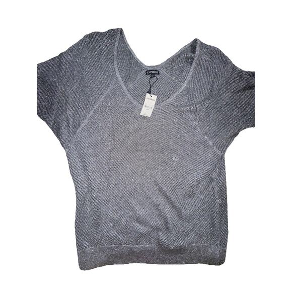 NWT Express Size Large Silver Metallic Open Knit Short Sleeve Sweater (n18) - Picture 1 of 3